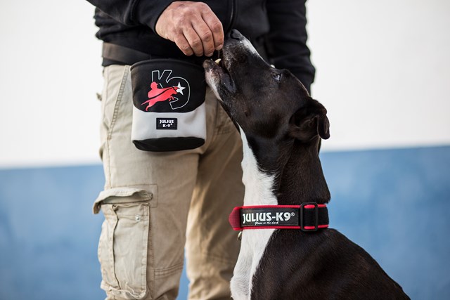 Julius K9 SuperGrip Halsband Röd