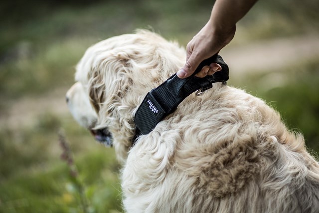 Julius K9 SuperGrip Halsband Svart