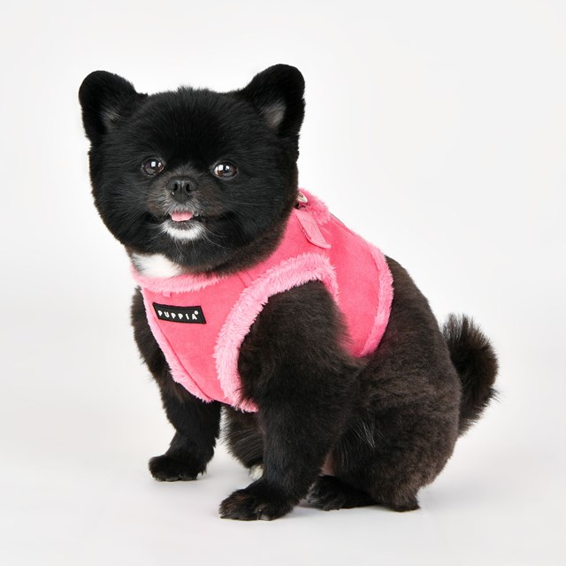 TERRY PINK - FODRAD JACKET HUNDSELE