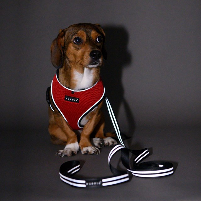 Night Safety Long Lead - Svart Reflexkoppel 3 m