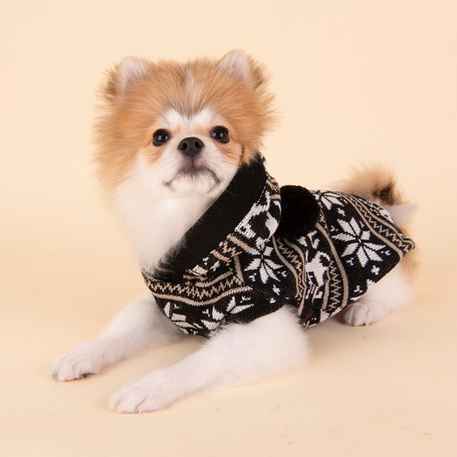 PRANCER - Stickad Hundtröja Med Luva