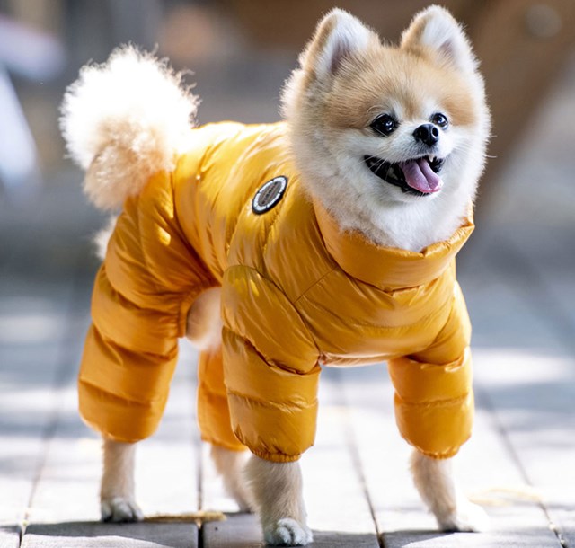 ULTRA LIGHT JUMPSUIT A GUL VINTEROVERALL