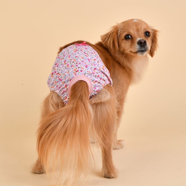 Wildflower Sanitary Pink Tikskydd