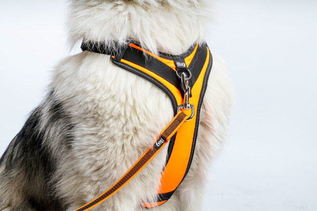 K9 Longwalk Light - Röd