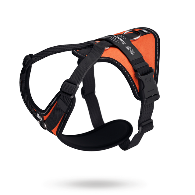 Julius K9 Longwalk Light - UV Orange