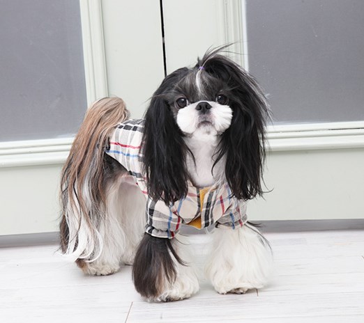 Junior Jumper - Regntäcke