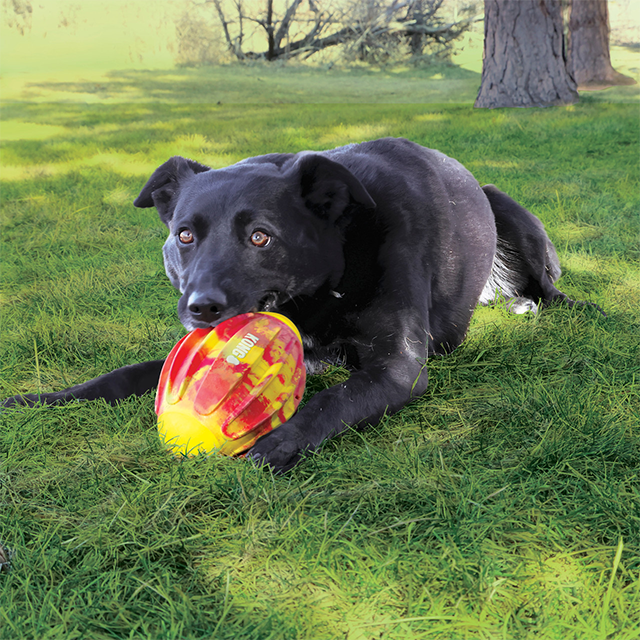 Kong Flexball Sportfootball M