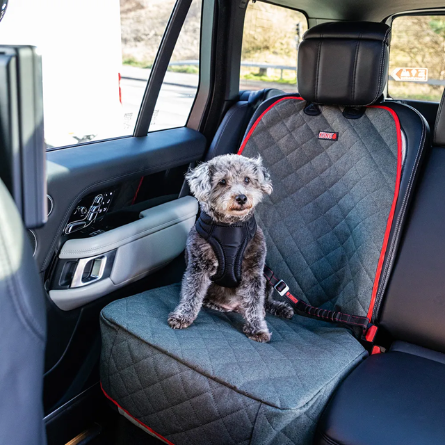 KONG Single Seat Cover Bilskydd