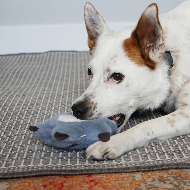 Kong Snuzzles Kiddos Sloth