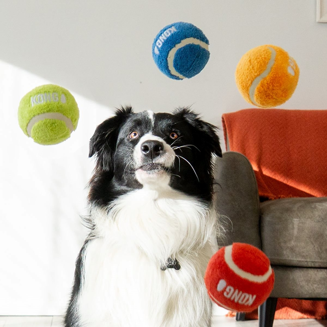 Kong Sport Softies Ball L 2-pack