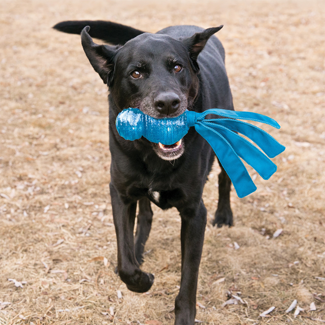 Kong Wubba Comet 35 cm