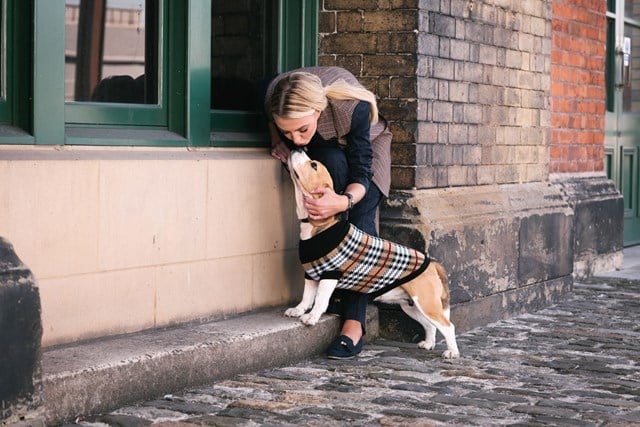Autumn - Stickad Hundtröja