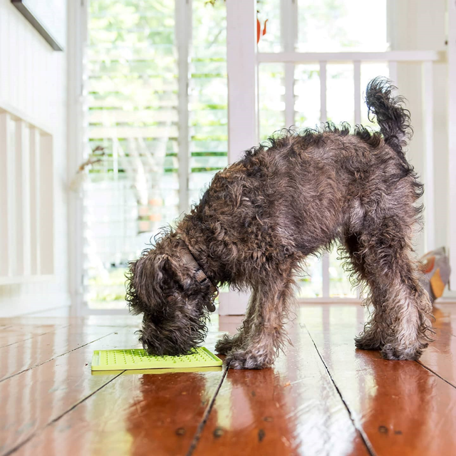 Lickimat Buddy Grön inkl Trixie Lammpaté Kit