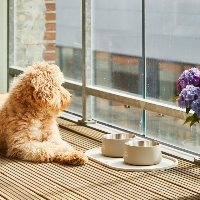 Libra Matskålsunderlägg - Coffee Cream