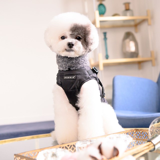 DONAVAN SVART - FODRAT HUNDTÄCKE MED INTEGRERAD SELE