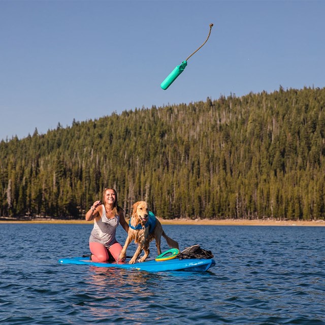 LUNKER FLYTANDE KASTLEKSAK - AURORA TEAL