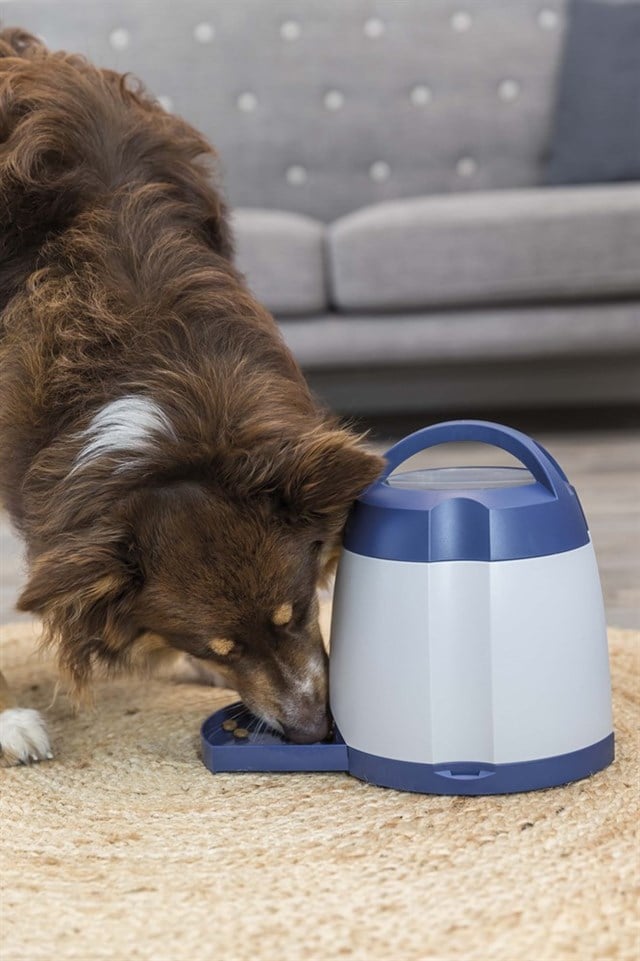 Memory Trainer 3.0 - aktiveringsleksak