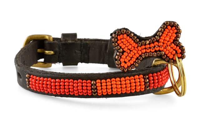 Halsband Kabaka Neon Micro