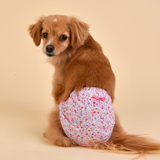 Wildflower Sanitary Pink Tikskydd