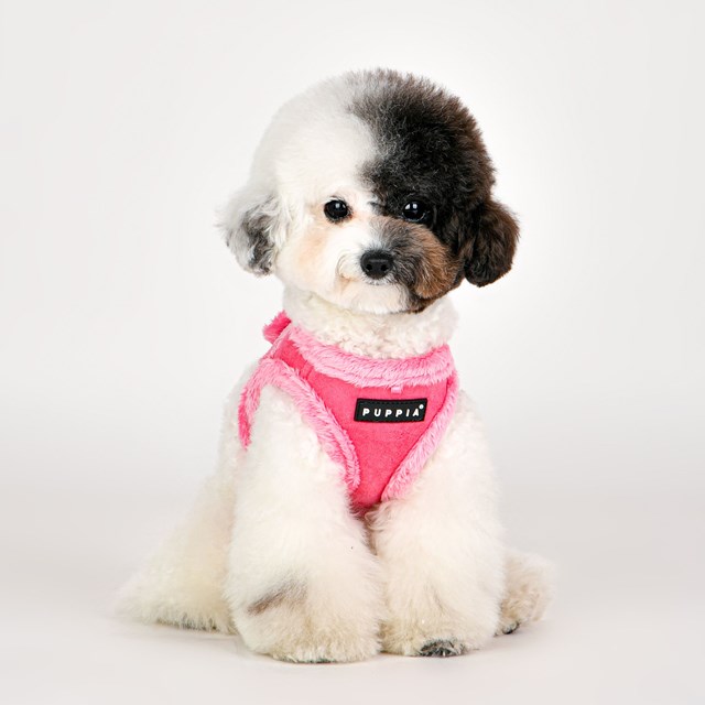 TERRY PINK - FODRAD JACKET HUNDSELE