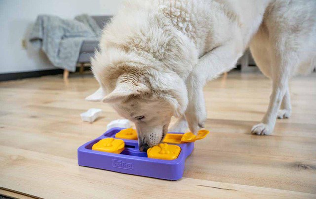 Nina Ottosson Dog Brick Small