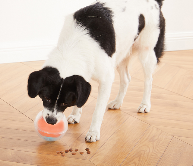 Nina Ottosson Dog Topsy Treat Ball Orange