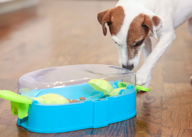 Nina Ottosson Paw N Play Aktiveringsleksak