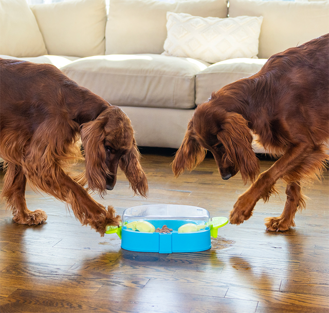 Nina Ottosson Paw N Play Aktiveringsleksak