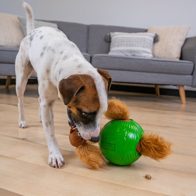Nina Ottosson Snuffle N Treat Ball Aktiveringsleksak - Small