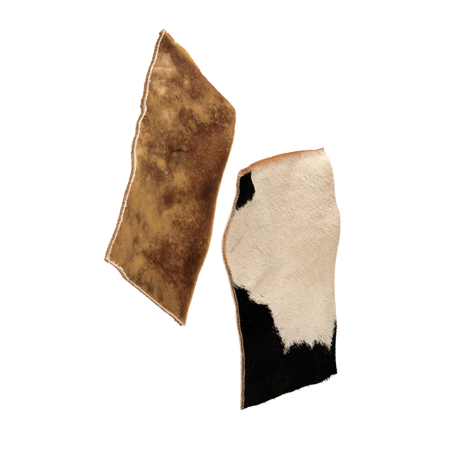 Njord Pet Nötchips 5-pack