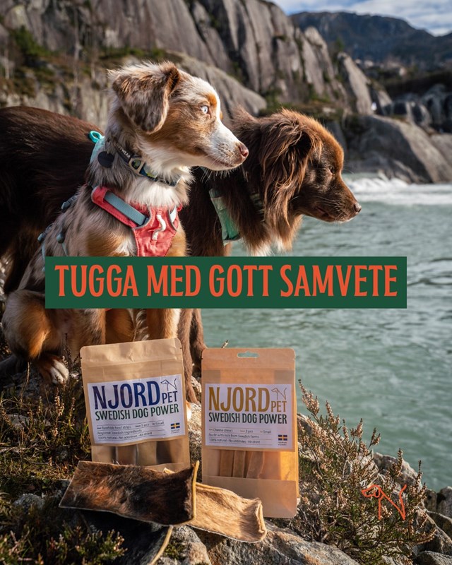 Njord Pet Nötchips 5-pack