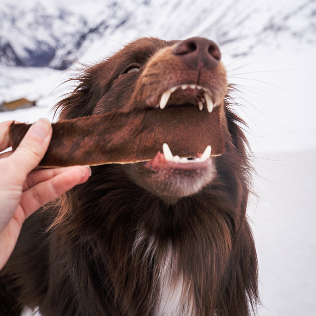 Njord Pet Nötstrips