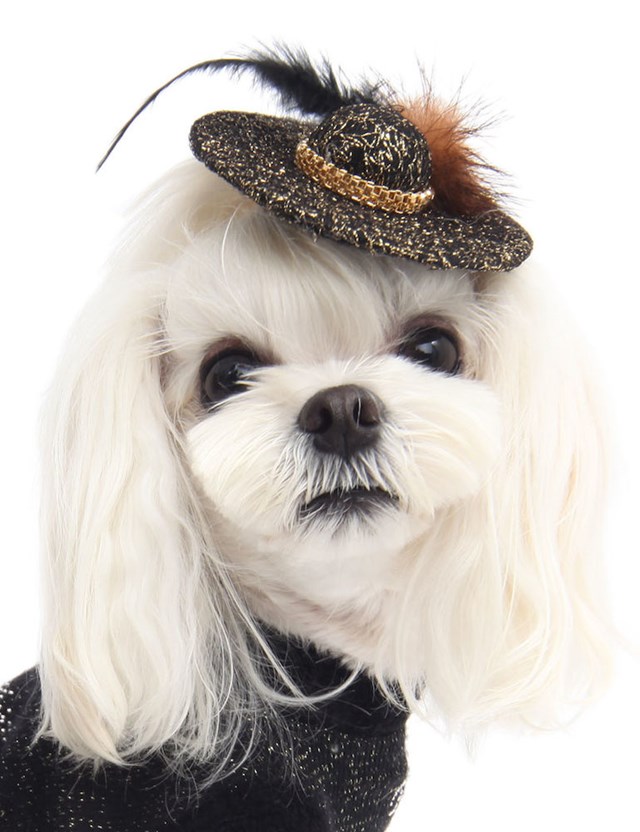 Noble Queen Hair Pin White