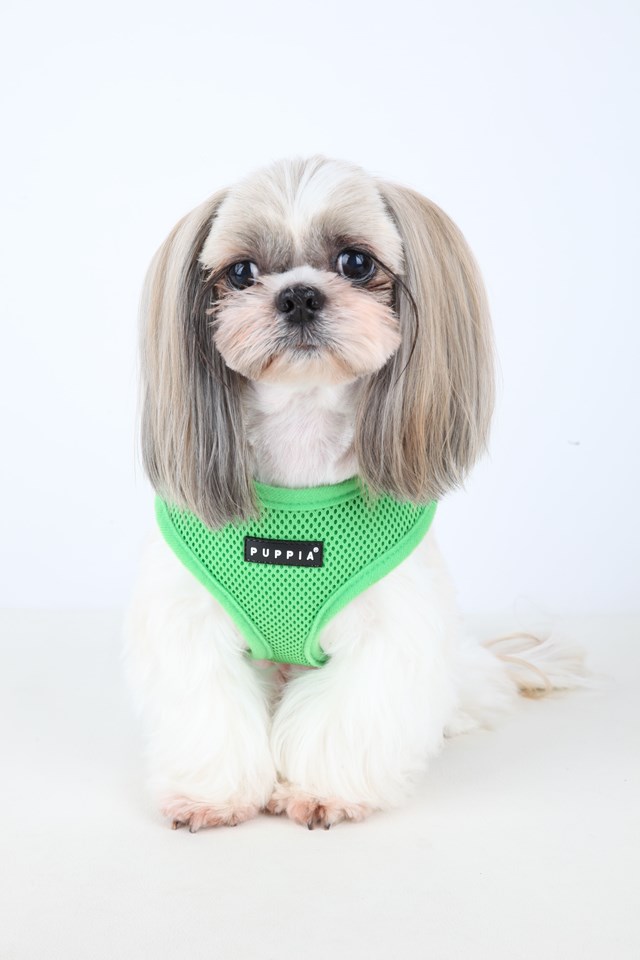 SOFT Green - Hundsele