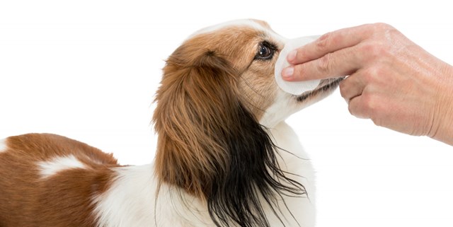 Ögonservetter med Aloe Vera - 100 st