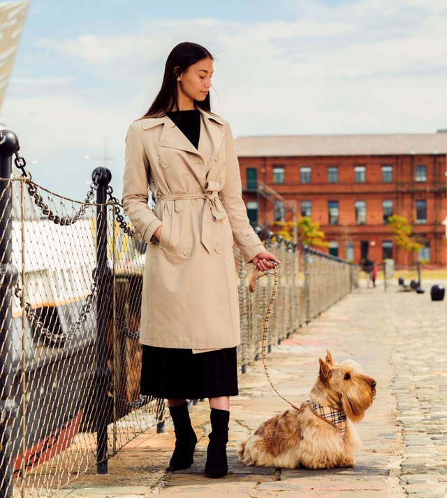 Brown Tartan - Tygkoppel