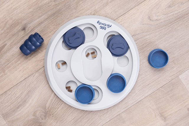 Dog Activity Flip & Fun - Aktiveringsspel