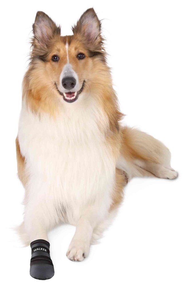 Walker Care 2-pack - Hundskor