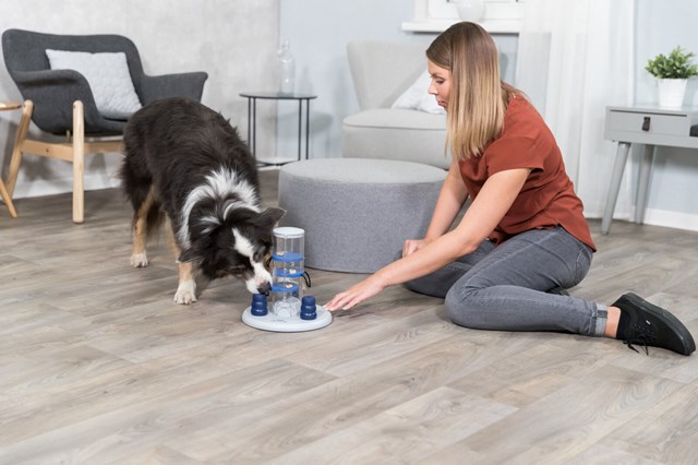 Dog Activity Gambling Tower - Aktiveringsleksak