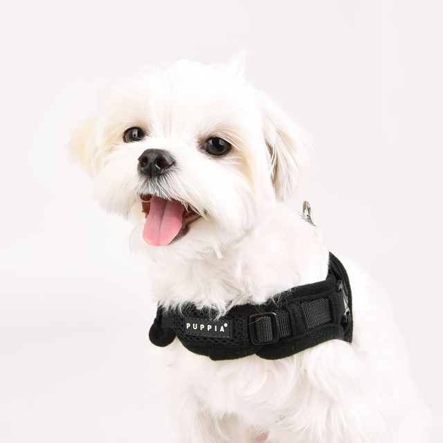 Soft Harness X Svart - STEP-IN HUNDSELE
