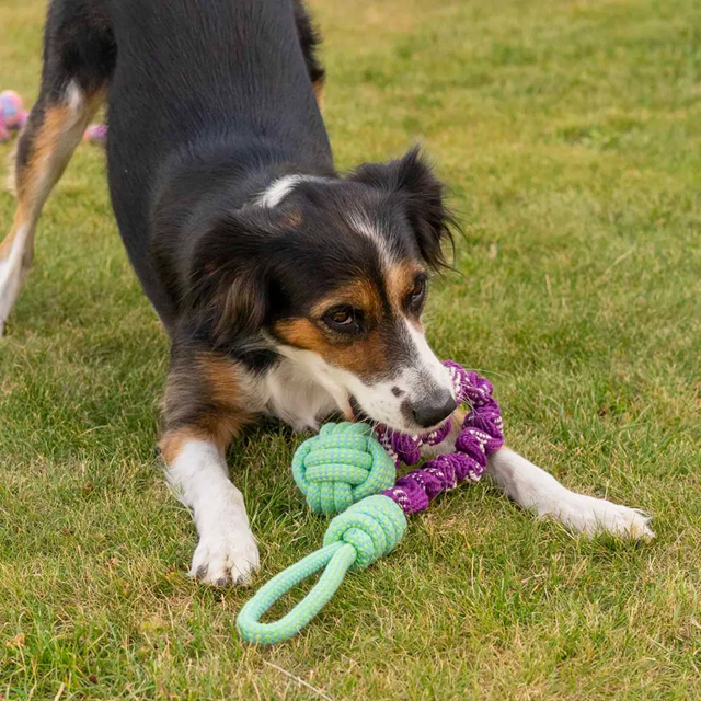 Ozami Bungee Rope With Handle 66cm