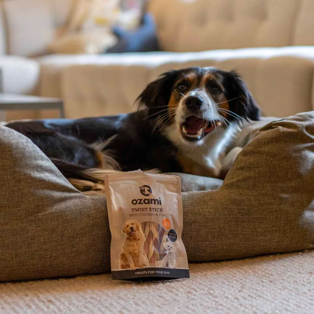 Ozami Chicken Twist Stick 100g