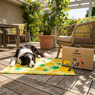 Ozami Cooling Mat Kyldyna - Pineapple