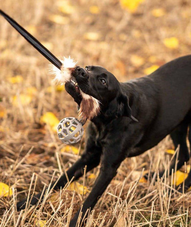 Play-n-tug Kampleksak med fuskpäls och Boll 65 cm