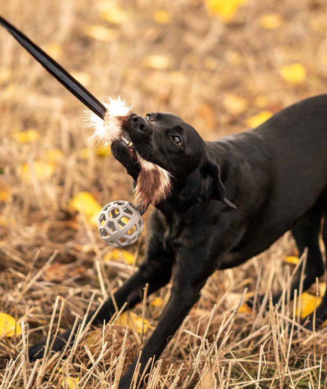 Play-n-tug Kampleksak med fuskpäls och Boll 65 cm