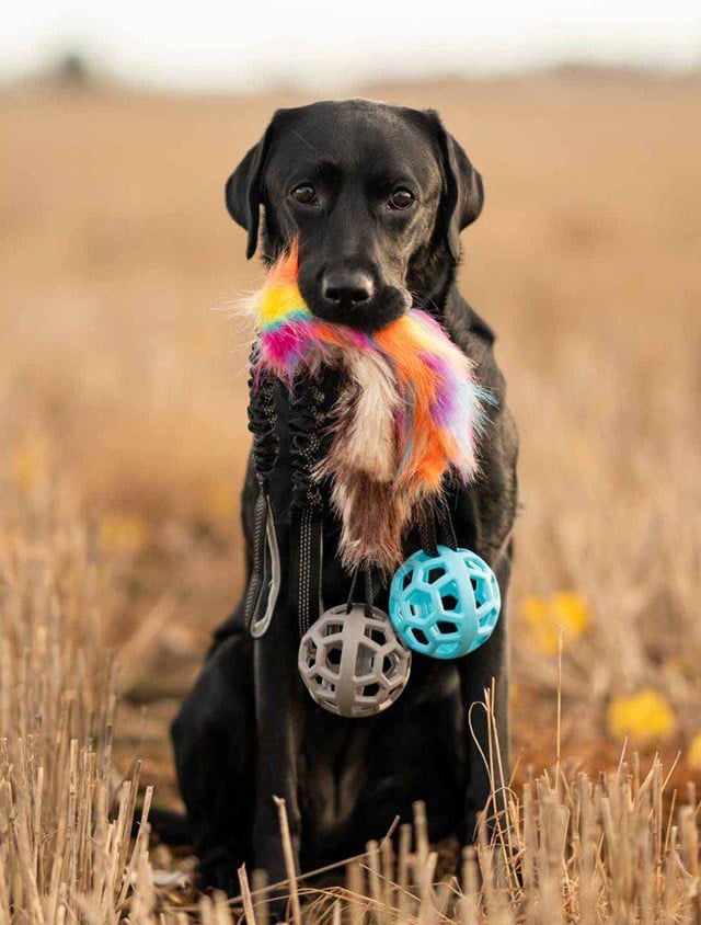 Play-n-tug Kampleksak med fuskpäls och Boll 65 cm