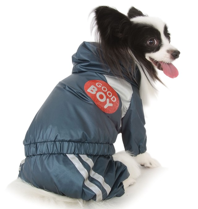 Good Boy Raincoat - Blue