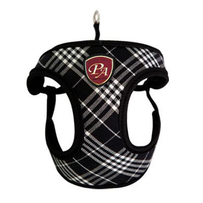 London Calling FASTENY HARNESS Black