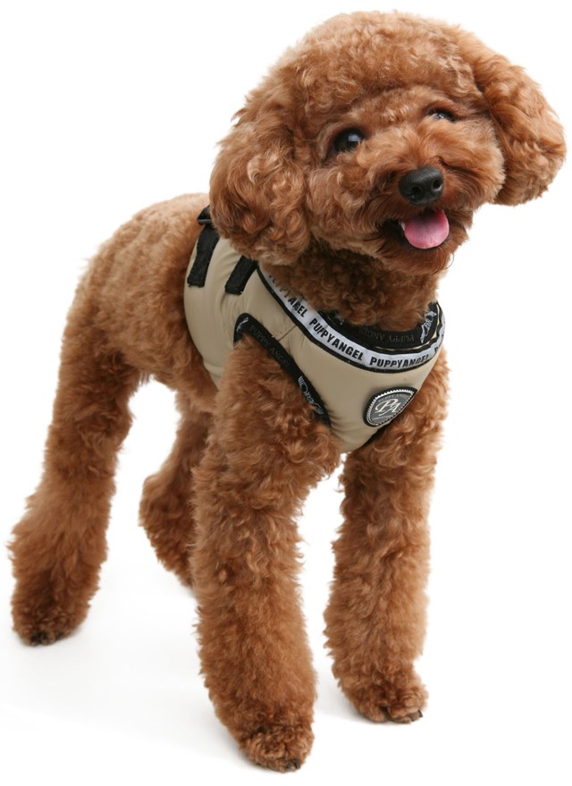 Out And About Sele - Mörkblå