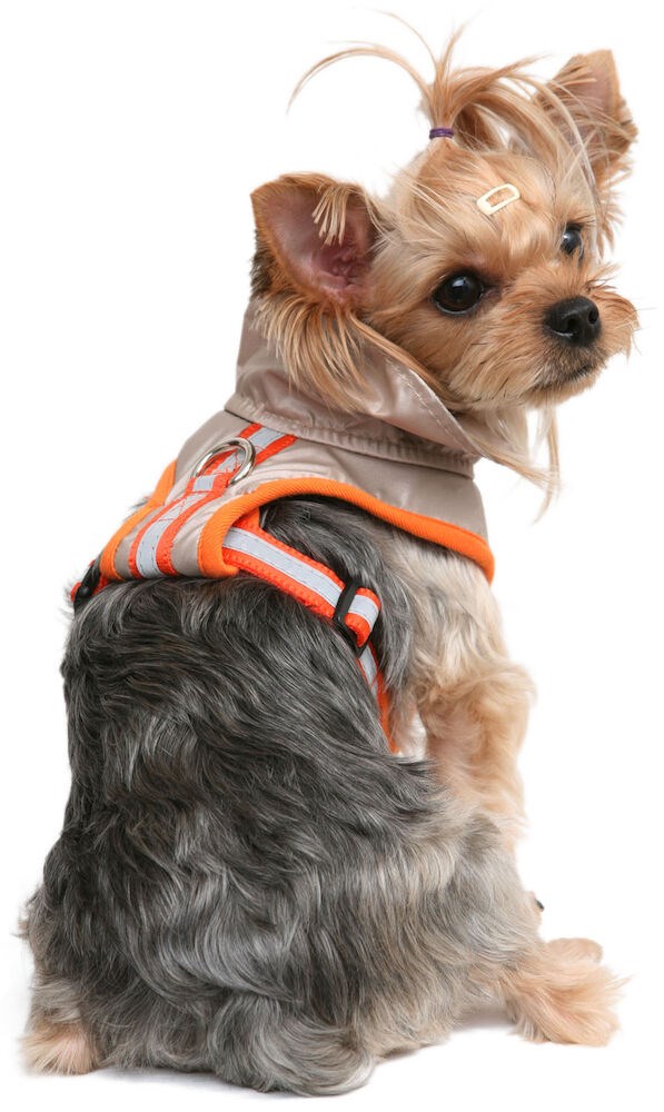 Jogging Dog Soft Sele - Brun